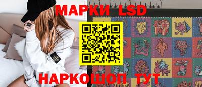 стафф Донецк
