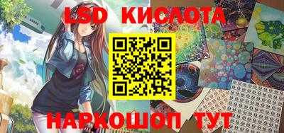 стафф Донецк