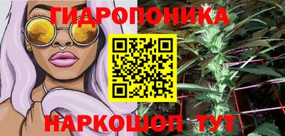 стафф Донецк